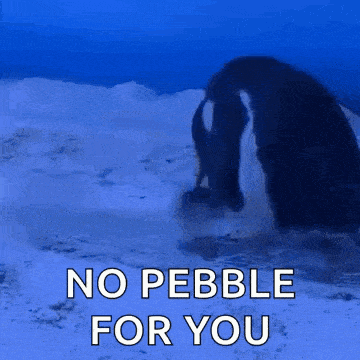 a penguin is standing in the snow with the words `` no pebble for you '' .
