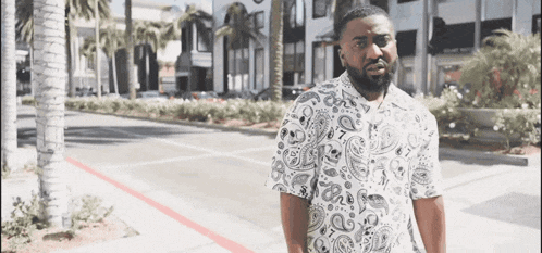 a man with a beard wearing a paisley shirt is standing on a sidewalk in front of a palm tree .