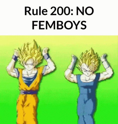 Rule200 No Femboys GIF - Rule200 No Femboys GIFs