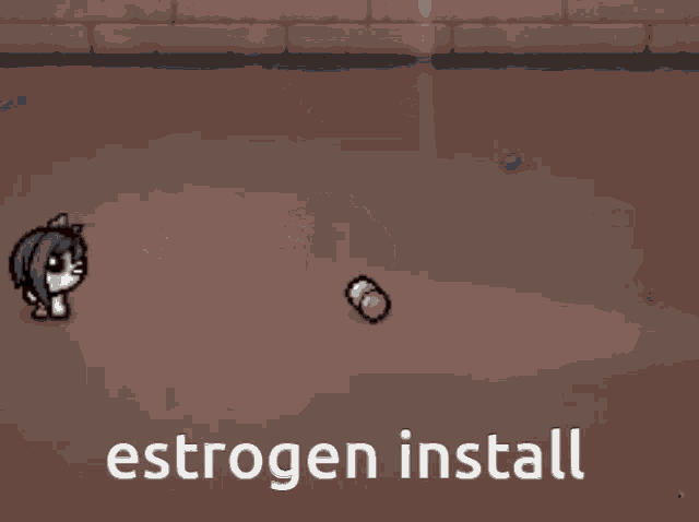 a screen that says bad trip estrogen install on it