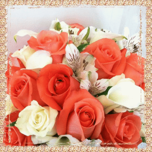 Flowers Roses GIF - Flowers Roses Pink Roses GIFs
