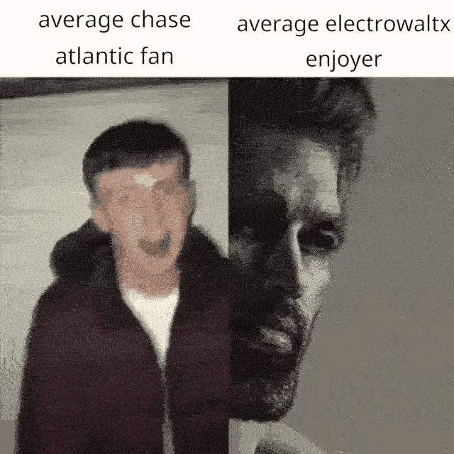 Electrowaltx Average Fan GIF - Electrowaltx Average Fan Average Enjoyer GIFs