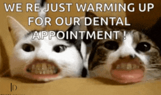two cats with their mouths open and the words " we re just warming up for our dental appointment " above them