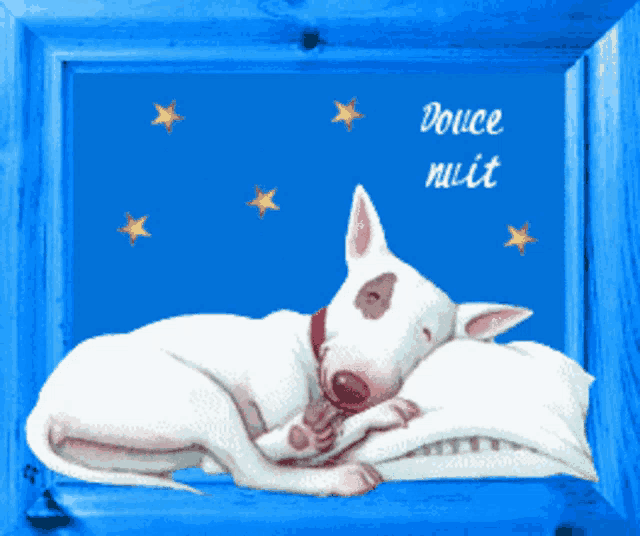 a dog is sleeping on a pillow with the words douce nuit written above it