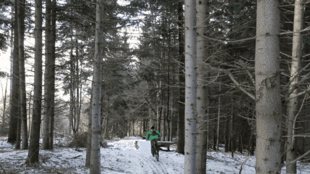 a person in a green jacket is riding a bike through a snowy forest