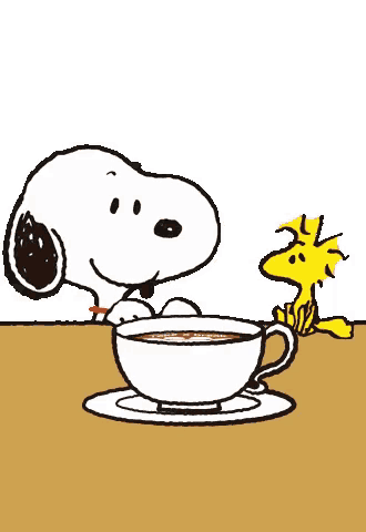 a cup of hot chocolate with marshmallows and the words take a break