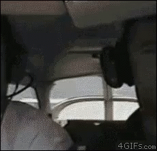 Airplane Dog GIF - Airplane Dog Flying GIFs
