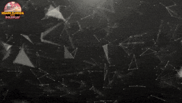the word miami florida is on a dark background