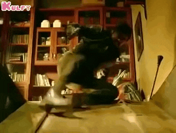 a person is riding a skateboard down a wooden ramp .