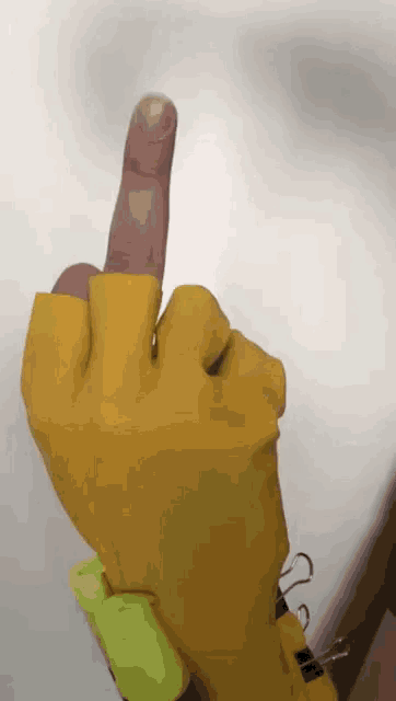 Fuck You Middle Finger GIF - Fuck You Middle Finger Fu GIFs