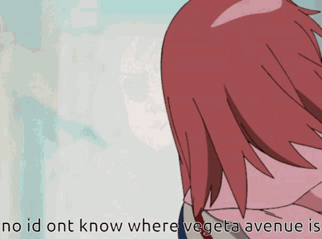 a cartoon of a girl with the words no id ont know where vegeta avenue is