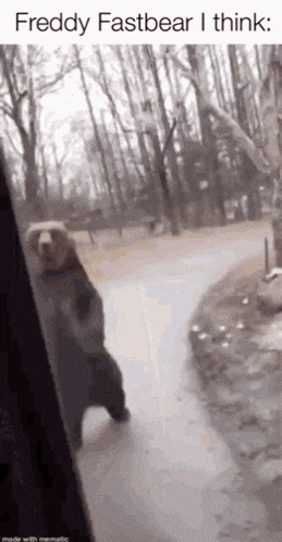 a freddy fast bear is walking down a sidewalk in front of a house .