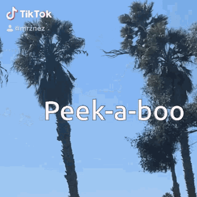 Peek A Boo Hello GIF - Peek A Boo Hello Where Are You GIFs