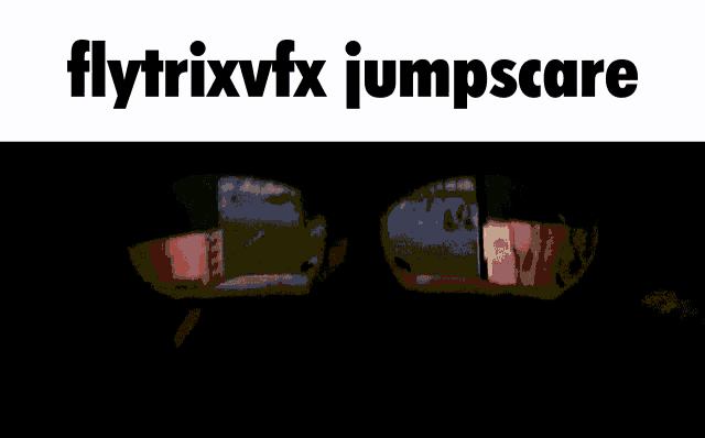 a picture of a person jumping with the words flytrixvfx jumpscare