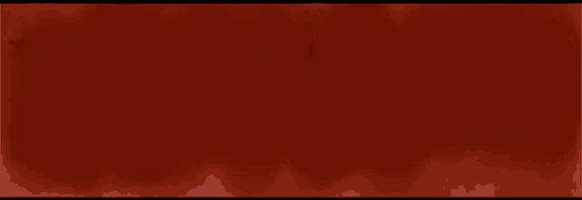 a red background with the name witamy written on it