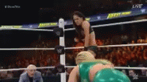 Bella Brie Kick GIF - Bella Brie Kick Wwe GIFs
