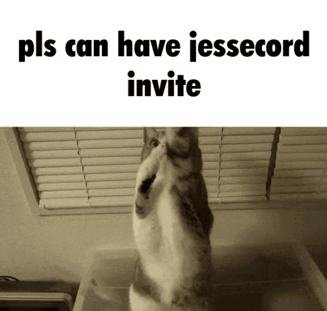 Invite Jessecord GIF - Invite Jessecord Jesse GIFs