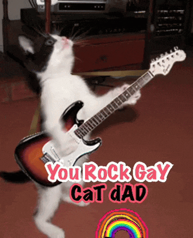 a cat playing a guitar with the words you rock gay cat dad