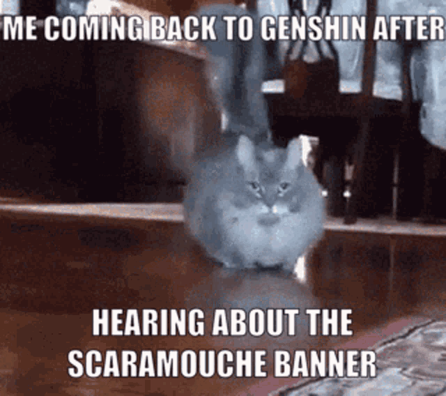 Me When I Come Back To Genshin After Hearing About The Scaramouche Banner Genshin GIF