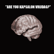a drawing of a brain with the words " are you kapsalon vrijdag " below it