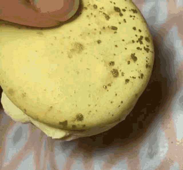 Macarons Cookie GIF - Macarons Cookie Cookies GIFs
