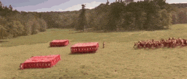 a group of soldiers are lined up in a field with red shields