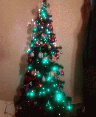 Christmastree GIF - Christmastree GIFs