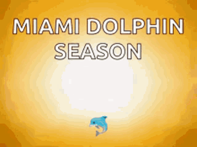 a yellow background with the words miami dolphin season