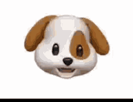 a close up of a dog 's face with its mouth open .