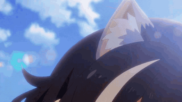 a close up of a cat 's ear with a blue sky behind it