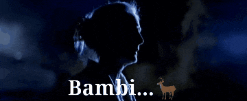a silhouette of a woman with the word bambi written below her