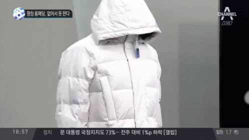 평창 롱패딩 GIF - Pyeongchang Jacket Padding GIFs