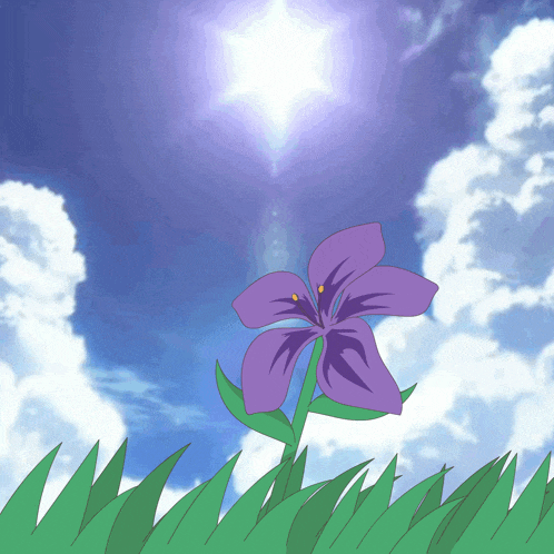 a purple flower in the grass with the sun shining through the clouds behind it