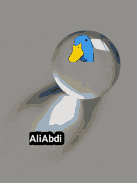 a glass ball with a blue and yellow duck on it and the name aliabdi below it
