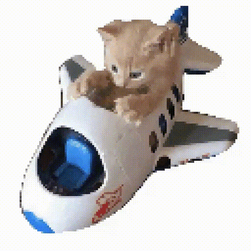 a kitten is sitting on top of a toy rocket