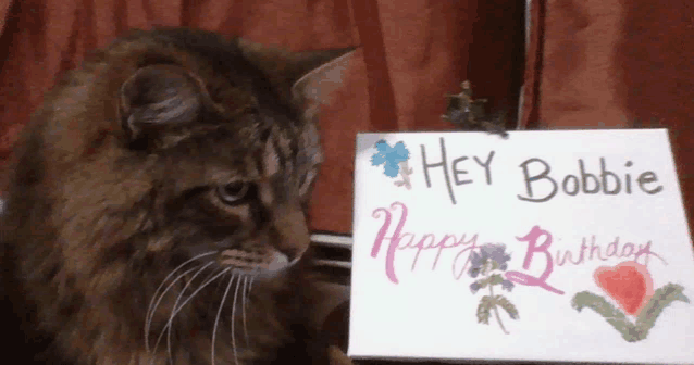 a cat is looking at a sign that says hey bobbie happy birthday