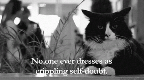 Cat No One Dresses GIF - Cat No One Dresses Self Doubt GIFs