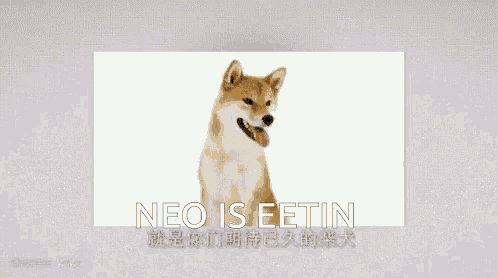 a picture of a dog with neo is eetin written on the bottom