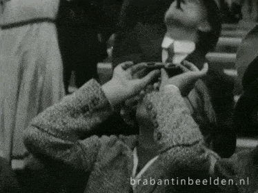 Brabant Brabantinbeelden GIF - Brabant Brabantinbeelden Brabant In Beelden GIFs