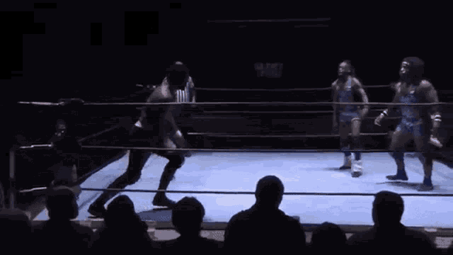 a group of people are watching a wrestling match in a ring with a referee in the background .