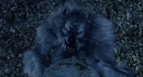Van Helsing Werewolf GIF - Van Helsing Werewolf Stigma GIFs