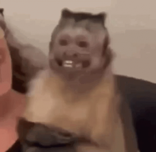 Monkey Smiling GIF - Monkey Smiling M4kktruck GIFs