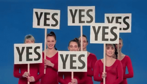 Yes No GIF - Yes No Option GIFs