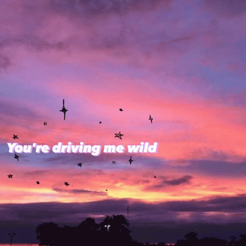 Wild Youre Driving Me Wild GIF - Wild Youre Driving Me Wild GIFs