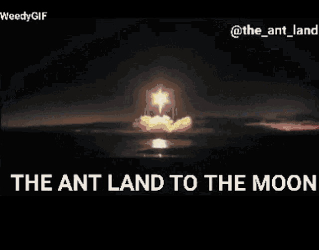 To The Moon The Ant Land GIF - To The Moon The Ant Land Nft GIFs