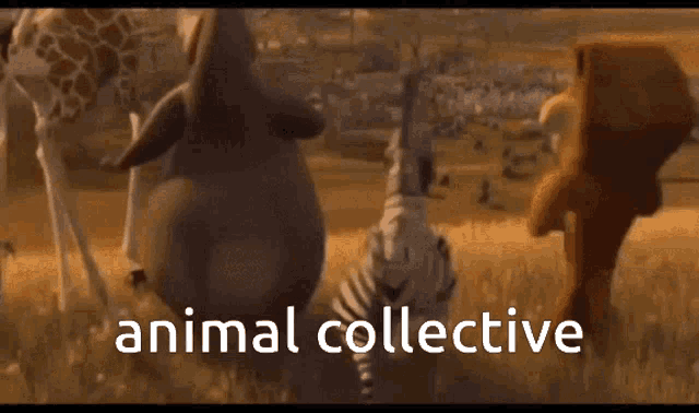 Animal Collective GIF - Animal Collective GIFs