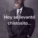 a man in a suit and tie with a chimpanzee head on his head .
