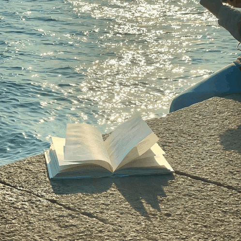 an open book is sitting on a rock near the ocean