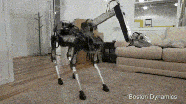 a boston dynamics robot is crawling on the floor