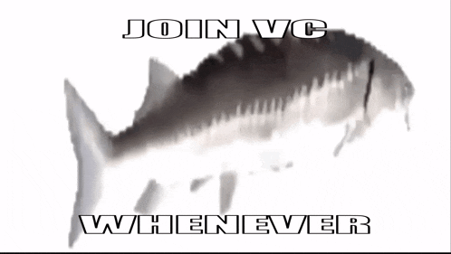 a fish with the words join vc whenever written below it